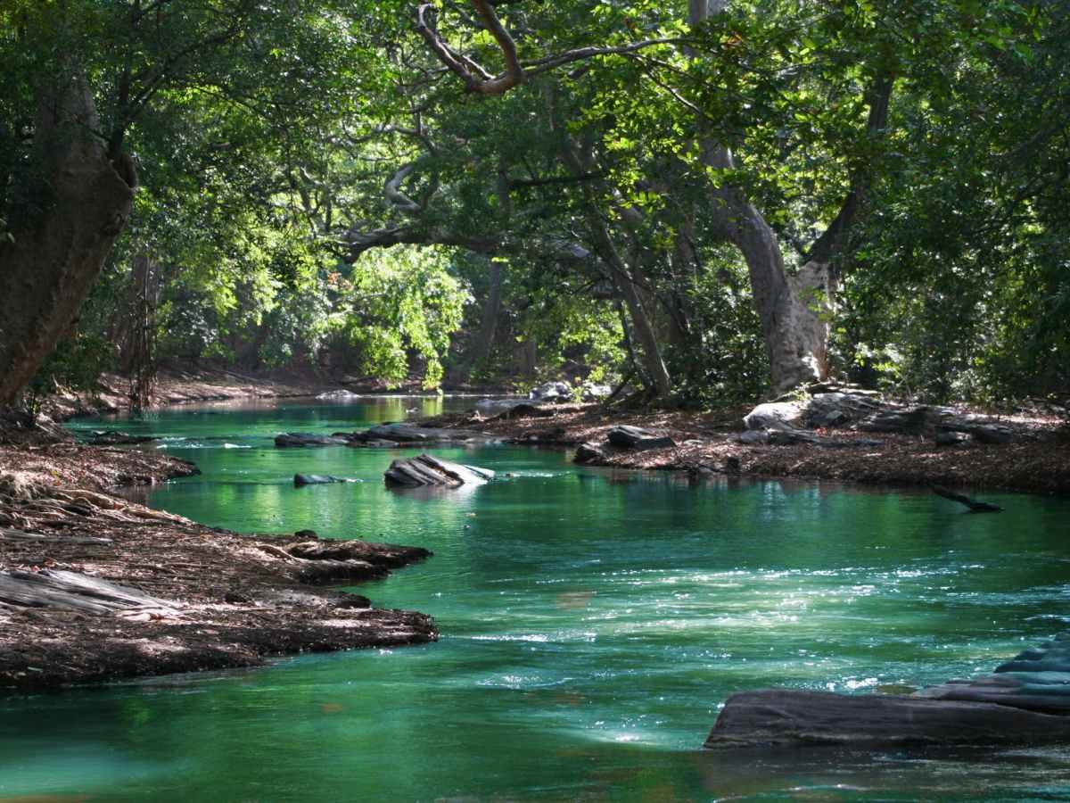 When you tell me that you love&nbsp;me