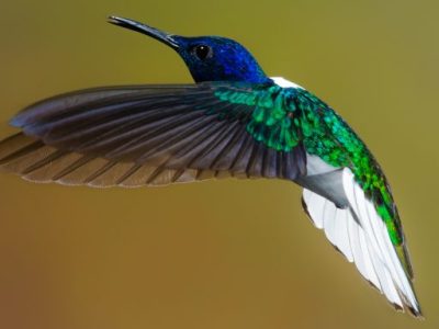 Happy Day of Birth on&nbsp;Earth