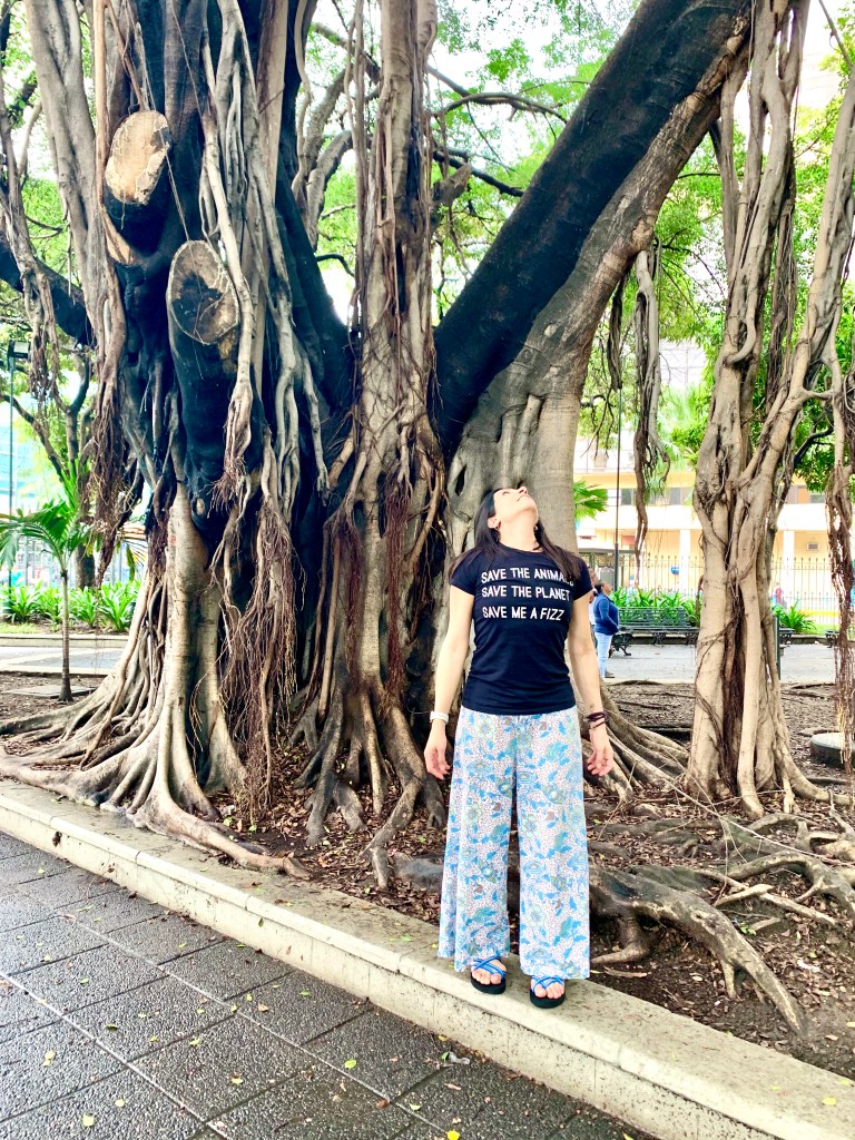woman staring upward in front of a large tree