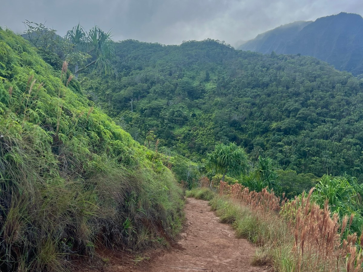 The Path to&nbsp;Here