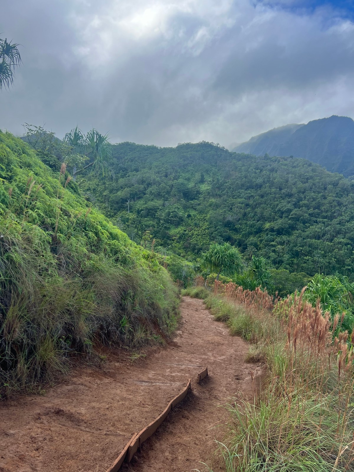 The Path to&nbsp;Here